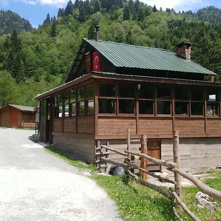 Kardelen Bungalov Evleri̇ 아이더 야일라시 외부 사진